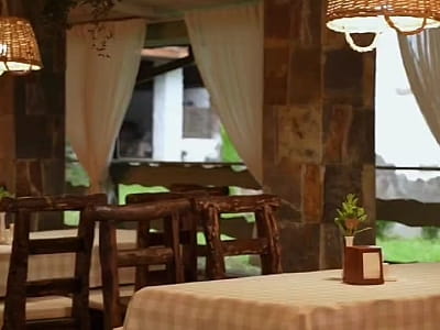 Казковий ресторан «Лісова Фея» в заміському комплексі «Ягода-Малина» в селі Головчинці Хмельницької області