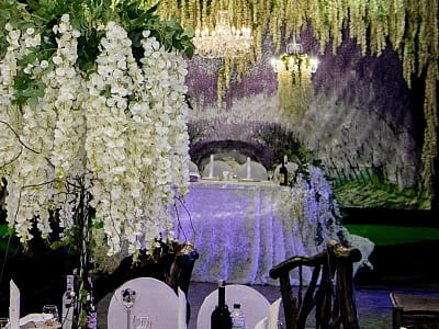 Казковий ресторан «Лісова Фея» в заміському комплексі «Ягода-Малина» в селі Головчинці Хмельницької області