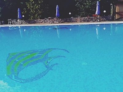 літній відкритий басейн в заміському комплексі «Ягода-Малина» в селі Головчинці Хмельницької області