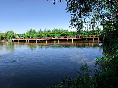 озеро для риболовлі в заміському комплексі АТК «Дача» за 7 км від Хмельницького по Вінницькій трасі