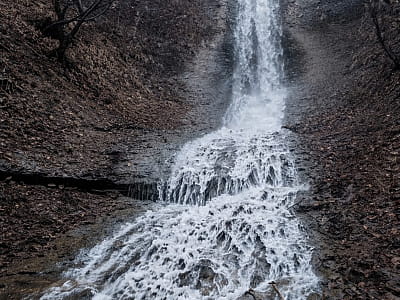 Вишоватський Великий водоспад — мальовнича локація Закарпаття з висотою 14 м, легендами, природною красою та зручним доступом для туристів.