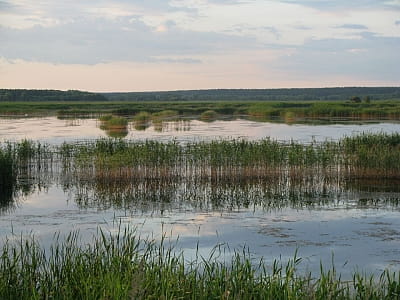 Озеро верхнє Велике в національному природному парку «Залісся» в Київській області