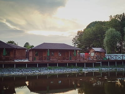 ставок у заміському комплексі «Зелена садиба» у селі Давидківці неподалік від міста Хмельницького