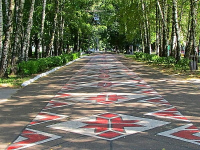 Згурівський дендропарк — історичний парк Київщини з озерами, алеями та рідкісними деревами. Ідеальне місце для відпочинку, прогулянок і знайомства з природою.
