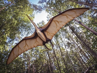 прогулятися серед гігантських динозаврів в DinoPark Берегово в селі Яноші Закарпатської області