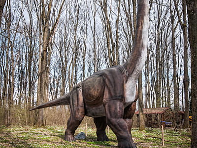 прогулятися серед гігантських динозаврів в DinoPark Берегово в селі Яноші Закарпатської області