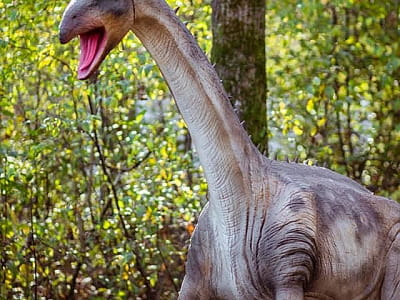 прогулятися серед гігантських динозаврів в DinoPark Берегово в селі Яноші Закарпатської області