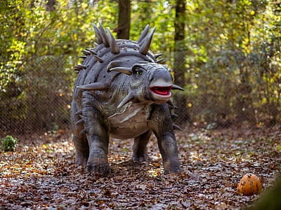 прогулятися серед гігантських динозаврів в DinoPark Берегово в селі Яноші Закарпатської області