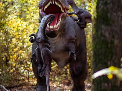 прогулятися серед гігантських динозаврів в DinoPark Берегово в селі Яноші Закарпатської області