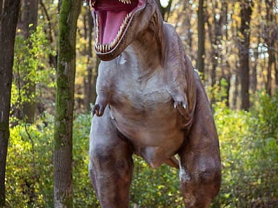 прогулятися серед гігантських динозаврів в DinoPark Берегово в селі Яноші Закарпатської області