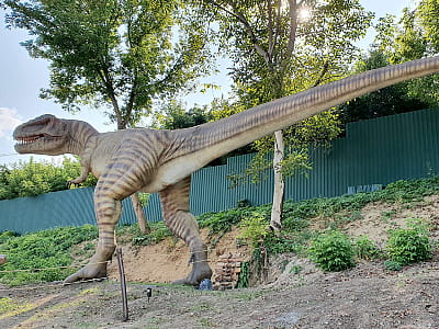 Парк DinoSofia в Умані — найбільший динопарк України з рухомими динозаврами, фотозонами та інтерактивними розвагами для всієї родини.