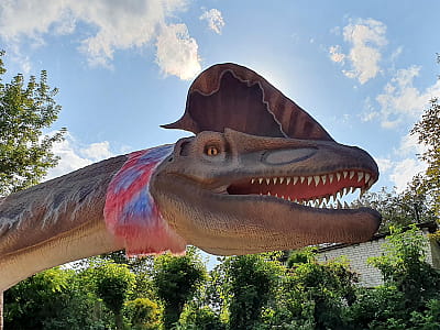 Парк DinoSofia в Умані — найбільший динопарк України з рухомими динозаврами, фотозонами та інтерактивними розвагами для всієї родини.