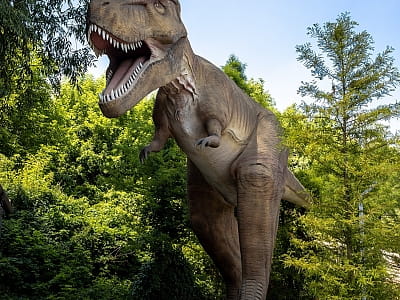 Парк DinoSofia в Умані — найбільший динопарк України з рухомими динозаврами, фотозонами та інтерактивними розвагами для всієї родини.