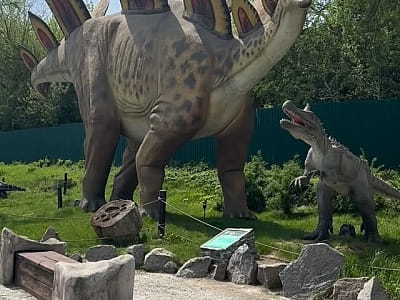 Парк DinoSofia в Умані — найбільший динопарк України з рухомими динозаврами, фотозонами та інтерактивними розвагами для всієї родини.