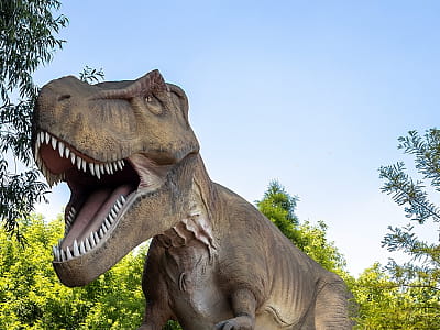 Парк DinoSofia в Умані — найбільший динопарк України з рухомими динозаврами, фотозонами та інтерактивними розвагами для всієї родини.