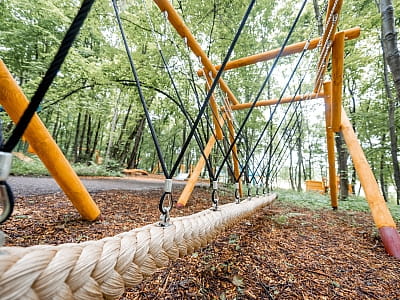 Парк УРУРУ біля Львова — великий розважальний простір із динозаврами, атракціонами та активностями для дітей і дорослих просто неба.