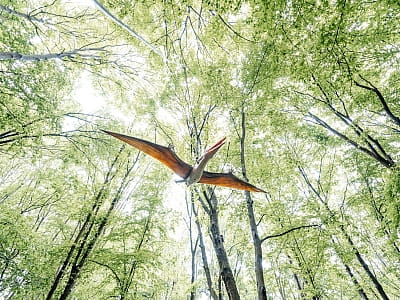 парк анімованих динозаврів у лісі в Парк УРУРУ біля Львова