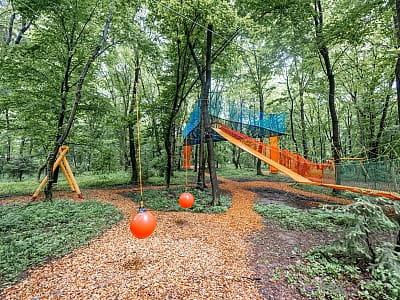 Сітка-лазанка поміж дерев на висоті від 2 до 7 метрів над землею в парку УРУРУ біля Львова