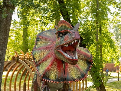 рухомі моделі динозаврів в парку DINO PARK у Київському Гідропарку