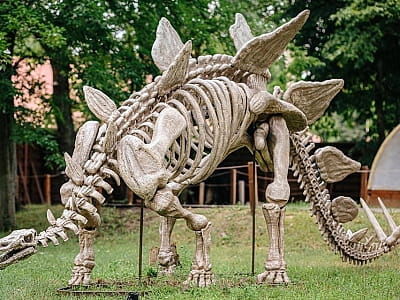 скелети динозаврів в парку DINO PARK у Київському Гідропарку