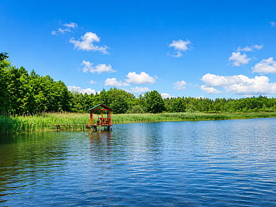 Озеро Солинка на Волині біля Кримного — карстова водойма серед соснових лісів із чистою природою, риболовлею та мальовничими краєвидами.