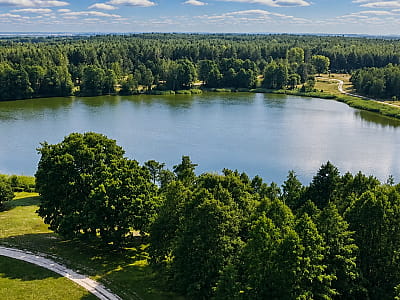 Озеро Озюрко на Волині — карстова водойма з підземними джерелами, чистою водою, місцями для відпочинку, риболовлі та прогулянок серед лісу.