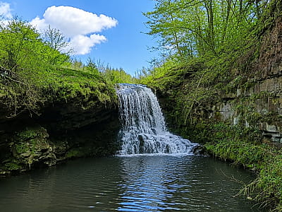 Вільховецький водоспад — мальовничий каскад у Дністровському каньйоні. Історія, особливості, легенди, маршрут, відпочинок і поради для туристів.