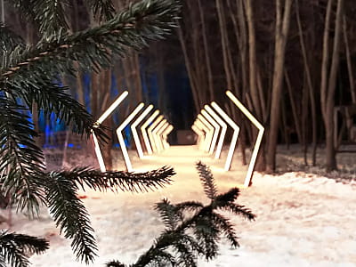 WOOD HILLS — сучасний парк активного відпочинку неподалік Києва, розташований у Вишгородському районі серед мальовничого соснового лісу.