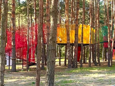 сітковий парк серед сосен в парку активного відпочинку WOOD HILLS неподалік Києва