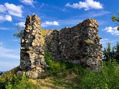 Замок Нялаб у Королеві — давня фортеця Закарпаття з королівською історією, легендами, археологічними таємницями й мальовничими руїнами.