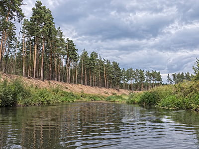 Ірша — мальовнича поліська річка Житомирщини з водосховищами, лісами, риболовними місцями та цікавими природними локаціями.