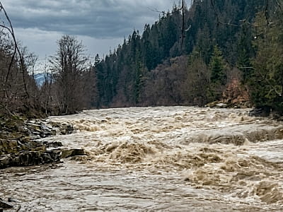 Мізунка — гірська річка Івано-Франківщини з порогами, лісами й водоспадом. Дізнайтеся про рафтинг, риболовлю та цікаві місця біля берегів.