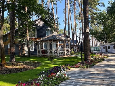 двоповерхові котеджі та апартаменти в заміському комплексі Dacha у селі Сокирна Черкаської області