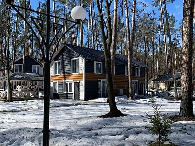 двоповерхові котеджі та апартаменти в заміському комплексі Dacha у селі Сокирна Черкаської області