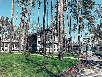 двоповерхові котеджі та апартаменти в заміському комплексі Dacha у селі Сокирна Черкаської області