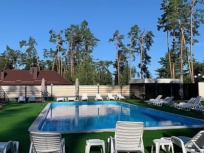 відкритий басейн з підігрівом в заміському комплексі Dacha у селі Сокирна Черкаської області