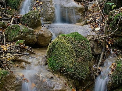 Гриняцький водоспад Шумило на Буковині вражає каскадами заввишки 34 метри, гіпсовими скелями та карстовим джерелом. Дізнайтеся, як дістатися до локації.