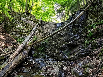 Лускавецький водоспад у Карпатах: особливості маршруту, висота, координати та поради для мандрівників, які шукають дикі куточки природи.