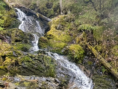 Водоспад Липний у селі Яворів на Прикарпатті: висота, особливості розташування, маршрут до водоспаду, мальовничі краєвиди та сусідній Яворівський Гук.