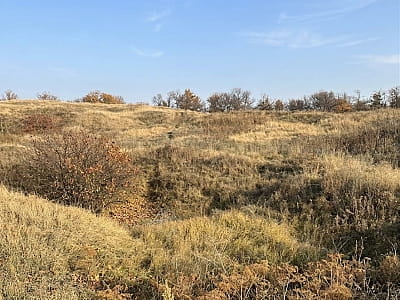 Олександропільський курган на Дніпропетровщині — давня скіфська пам’ятка IV століття до н. е. Дізнайтеся про поховання, археологічні знахідки та історію.