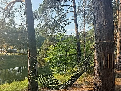 ШишкіNN — заміський SPA-комплекс у сосновому лісі біля Чернігова: басейни, SPA, ресторани, розваги, котеджі, шале та глемпи для відпочинку.