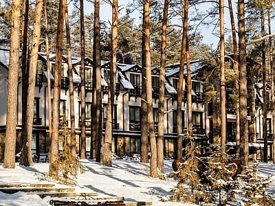 номери, котеджі, шале, глемпи в заміському комплексі «ШишкиNN» у селі Снов'янка Чернігівської області