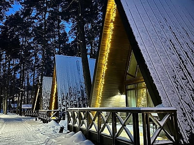 номери, котеджі, шале, глемпи в заміському комплексі «ШишкиNN» у селі Снов'янка Чернігівської області