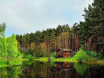 озеро в заміському комплексі «ШишкиNN» у селі Снов'янка Чернігівської області