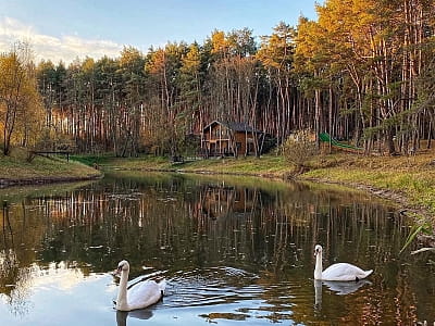 озеро в заміському комплексі «ШишкиNN» у селі Снов'янка Чернігівської області