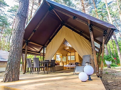 ШишкіNN — заміський SPA-комплекс у сосновому лісі біля Чернігова: басейни, SPA, ресторани, розваги, котеджі, шале та глемпи для відпочинку.