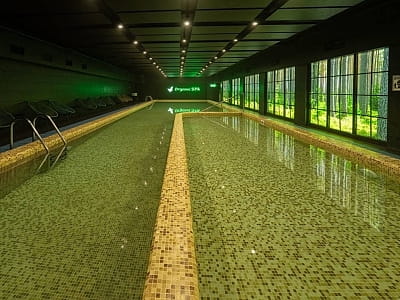 басейн SPA зони в заміському комплексі «ШишкиNN» у селі Снов'янка Чернігівської області