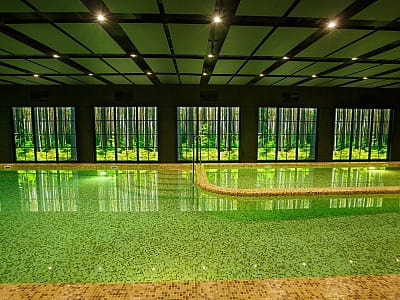 басейн SPA зони в заміському комплексі «ШишкиNN» у селі Снов'янка Чернігівської області