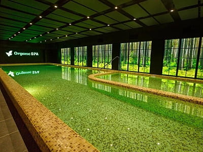 басейн SPA зони в заміському комплексі «ШишкиNN» у селі Снов'янка Чернігівської області