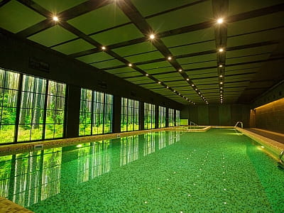 басейн SPA зони в заміському комплексі «ШишкиNN» у селі Снов'янка Чернігівської області